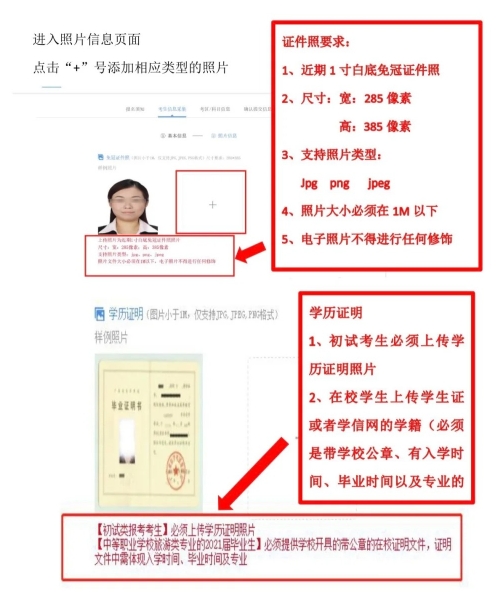 导游证报考照片要求-1.jpg